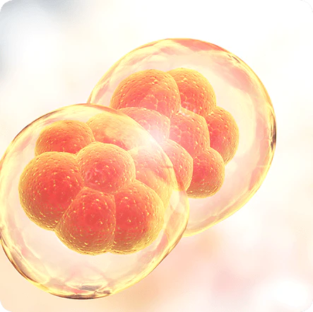 fisetin-longevity 50 plus