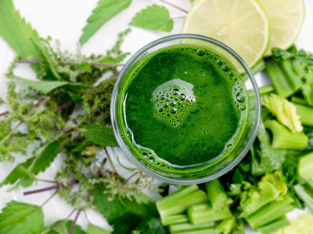 Which Smoothie Ingredients Support Healthy Aging?